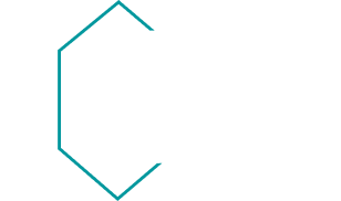 logo light